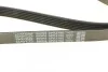 <strong>Ремінь поліклиновий DAYCO 6PK2160 (фото 4)</strong>