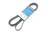 <strong>Ремінь генератора поліклиновий DAYCO 6PK2200S (фото 2)</strong>