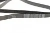 <strong>Ремінь поліклиновий DAYCO 6PK2203 (фото 2)</strong>