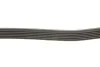 <strong>Ремінь поліклиновий DAYCO 6PK2210 (фото 3)</strong>
