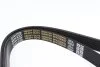 <strong>Ремінь генератора поліклиновий DAYCO 6PK2225HD (фото 2)</strong>