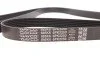 <strong>Ремінь генератора MB W202/211 OM611/646/647 97-08 DAYCO 6PK2250 (фото 3)</strong>