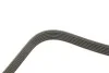 <strong>Ремінь поліклиновий DAYCO 6PK2300 (фото 2)</strong>