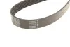 <strong>Ремінь поліклиновий DAYCO 6PK2300 (фото 3)</strong>