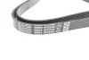 <strong>Ремінь генератора MB W124 M104 88-93 / W211 M113 02-08 DAYCO 6PK2440 (фото 2)</strong>