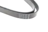 <strong>Ремінь генератора MB W124 M104 88-93 / W211 M113 02-08 DAYCO 6PK2440 (фото 3)</strong>