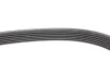 <strong>Ремінь генератора MB W124 M104 88-93 / W211 M113 02-08 DAYCO 6PK2440 (фото 4)</strong>
