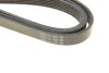 <strong>Ремінь генератора Hyundai Santa Fe 2.0/2.4 10- DAYCO 6PK2550 (фото 4)</strong>