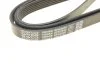 <strong>Ремінь генератора Hyundai Santa Fe 2.0/2.4 10- DAYCO 6PK2550 (фото 5)</strong>