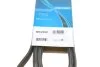 <strong>Ремінь генератора Hyundai Santa Fe 2.0/2.4 10- DAYCO 6PK2550 (фото 6)</strong>