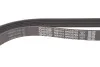<strong>Ремінь поліклиновий DAYCO 6PK2576S (фото 4)</strong>