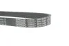 <strong>Ремінь генератора поліклиновий DAYCO 6PK730EE (фото 4)</strong>