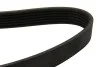 <strong>Ремінь генератора Skoda Fabia/Roomster/VW Polo 1.9 SDI/TDI 99-10 DAYCO 6PK780 (фото 2)</strong>