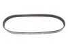 <strong>Ремінь генератора Berlingo/Jumpy 1.6 HDi/BlueHDi 08- DAYCO 6PK798 (фото 1)</strong>