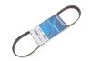 <strong>Ремінь генератора Berlingo/Jumpy 1.6 HDi/BlueHDi 08- DAYCO 6PK798 (фото 2)</strong>