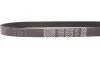 <strong>Ремінь генератора Berlingo/Jumpy 1.6 HDi/BlueHDi 08- DAYCO 6PK798 (фото 4)</strong>