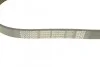 <strong>Ремінь поліклиновий DAYCO 6PK900 (фото 3)</strong>
