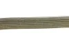 <strong>Ремінь генератора поліклиновий DAYCO 6PK902S (фото 2)</strong>