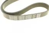 <strong>Ремінь генератора поліклиновий DAYCO 6PK902S (фото 3)</strong>