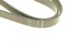 <strong>Ремінь генератора поліклиновий DAYCO 6PK902S (фото 4)</strong>