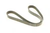 <strong>Ремінь генератора поліклиновий DAYCO 6PK902S (фото 5)</strong>