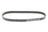 <strong>Ремінь генератора Citroen Berlingo / Peugeot Partner 1.6 VTi 09- DAYCO 6PK905S (фото 1)</strong>