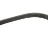 <strong>Ремінь генератора Ford Connect 1.5/1.6 TDCI 13- DAYCO 6PK965 (фото 3)</strong>