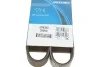 <strong>Ремінь генератора Ford Connect 1.5/1.6 TDCI 13- DAYCO 6PK965 (фото 6)</strong>