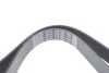 <strong>Ремень поликлиновый TOYOTA Hiace 2,5D 01-. DAYCO 7PK1095 (фото 4)</strong>