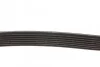 <strong>Ремінь генератора BMW 1/3/X6 3.0 05-14 DAYCO 7PK1853 (фото 2)</strong>