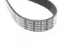 <strong>Ремінь генератора BMW 1/3/X6 3.0 05-14 DAYCO 7PK1853 (фото 3)</strong>