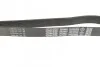 <strong>Ремінь поліклиновий DAYCO 7PK2035S (фото 2)</strong>