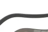<strong>Ремінь генератора поліклиновий DAYCO 8PK1162H (фото 3)</strong>