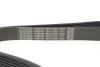 <strong>Ремінь генератора поліклиновий DAYCO 8PK1162H (фото 4)</strong>