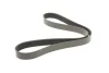 <strong>Ремінь генератора поліклиновий DAYCO 8PK1300HD (фото 2)</strong>