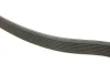 <strong>Ремінь генератора поліклиновий DAYCO 8PK1300HD (фото 3)</strong>