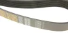 <strong>Ремінь генератора поліклиновий DAYCO 8PK1300HD (фото 4)</strong>