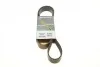<strong>Ремінь генератора MB Vario OM900/904 96- DAYCO 8PK1420HD (фото 1)</strong>