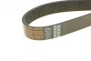 <strong>Ремінь генератора MB Vario OM900/904 96- DAYCO 8PK1420HD (фото 3)</strong>