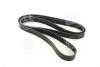 <strong>Ремень генератора MB W140 M104 91-98 DAYCO 8PK2440 (фото 1)</strong>