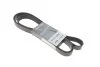 <strong>Ремінь генератора поліклиновий DAYCO 8PK2482HD (фото 1)</strong>