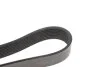 <strong>Ремінь генератора поліклиновий DAYCO 8PK2482HD (фото 3)</strong>