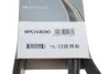 <strong>Ремінь генератора поліклиновий DAYCO 8PK2482HD (фото 5)</strong>