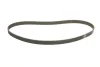 <strong>Ремінь зубчастий (довж. 60-150) DAYCO 94327 (фото 5)</strong>