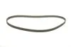 <strong>Ремінь зубчастий (довж. 60-150) DAYCO 94689 (фото 2)</strong>