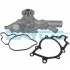 <strong>Водяний насос Dayco DAYCO DP281 (фото 1)</strong>
