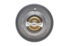 <strong>Термостат Fiat Ducato/Ford Transit 2.2 D/TDCi 00- (88) DAYCO DT1016V (фото 4)</strong>