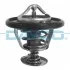 <strong>Термостат DAYCO DT1041V (фото 1)</strong>