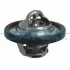 <strong>Термостат Ford Fiesta/Focus 1.25-1.6 95- (82) DAYCO DT1050V (фото 1)</strong>