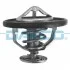 <strong>Термостат DAYCO DT1059V (фото 1)</strong>